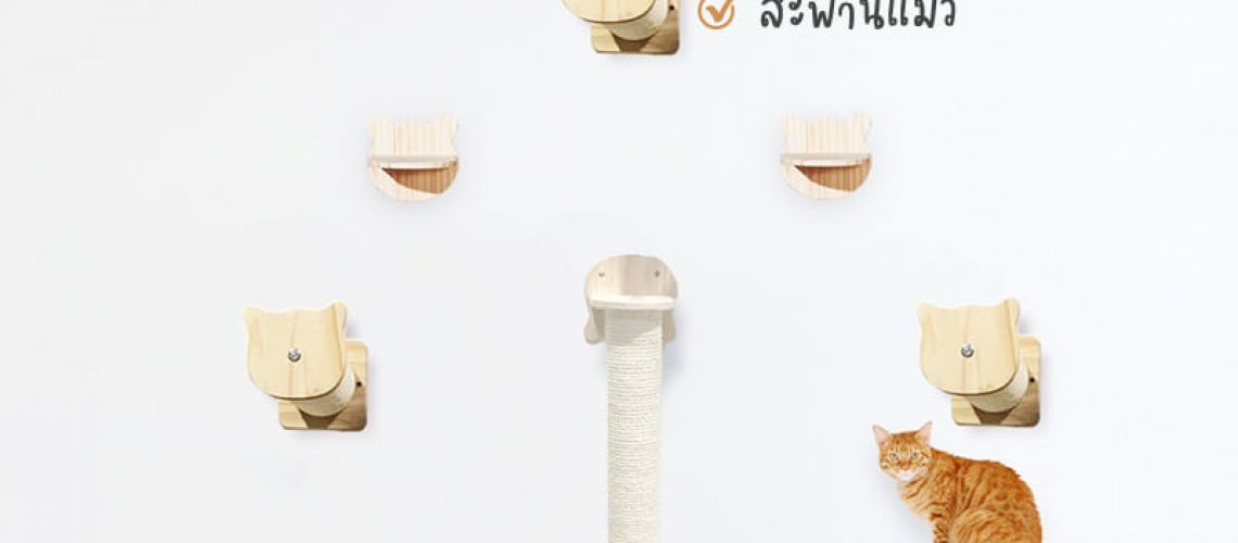 242155552_1326677567765948_4180901621277002788_n