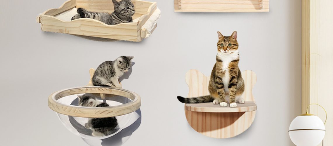 271533650_1402609476839423_3793197167208555705_n